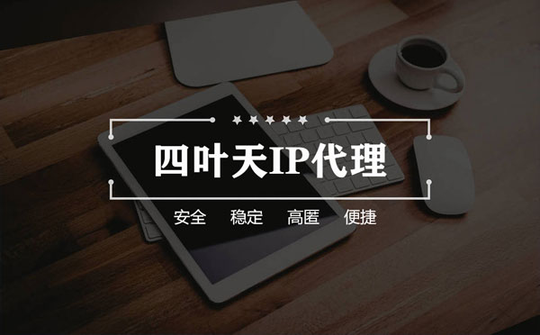 【桐城代理IP】如何快速搭建代理IP？怎么检查代理的效果？